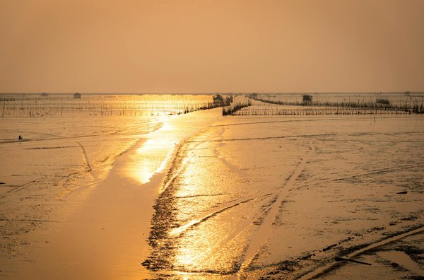 Observatoire Tourisme Champagne Ardenne